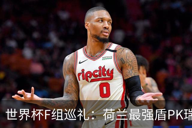 世界杯F组巡礼：荷兰最强盾PK瑞典犀利刀 日本短板明显