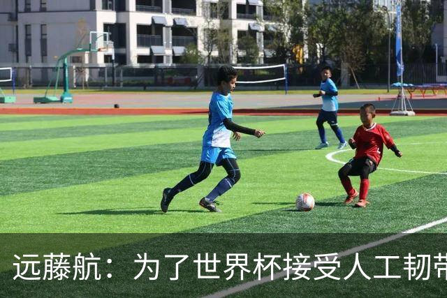 远藤航：为了世界杯接受人工韧带植入手术，现在已经没问题了